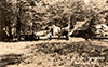 Lakes & Parks - 1940's: Otsego Lake State Park- Postmarked August 16, 1951
